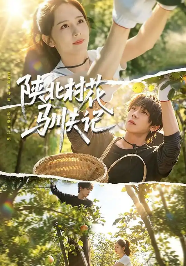 陕北村花驯夫记(40集)彭天瑞&翟成露-紫橙网创项目网