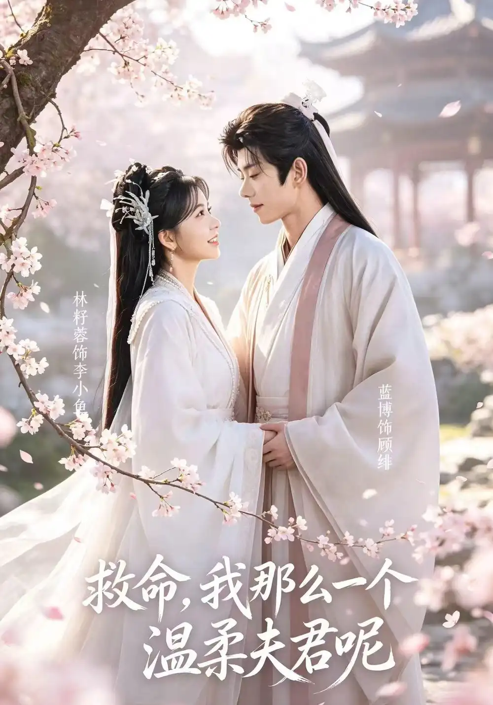 救命我那么一个温柔夫君呢(72集)蓝博&林籽蓉-紫橙网创项目网