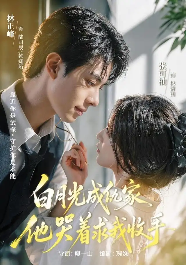 白月光成仇家他哭着求我收手(60集)林正峰&张可柚-紫橙网创项目网