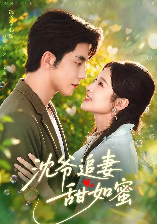 沈爷追妻甜如蜜(77集)秦琛琛&戚羽佳-紫橙网创项目网