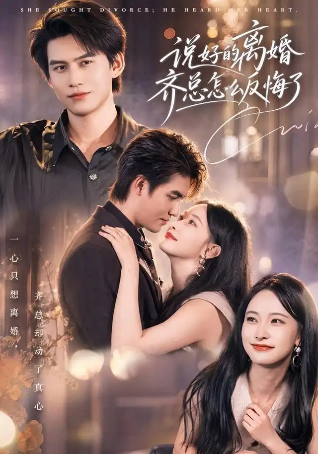 说好的离婚齐总怎么反悔了（40集）尹晨攒＆宗沐一-紫橙网创项目网