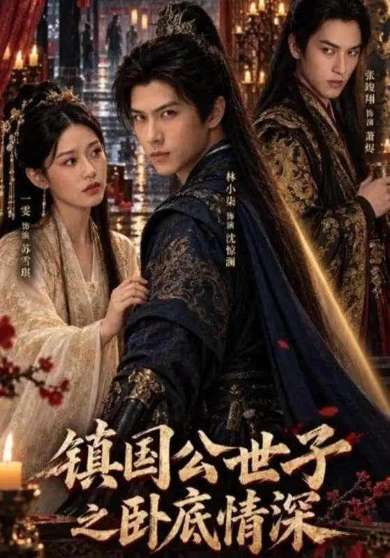 镇国公世子之卧底情深（31集）林小柒＆一雯-紫橙网创项目网