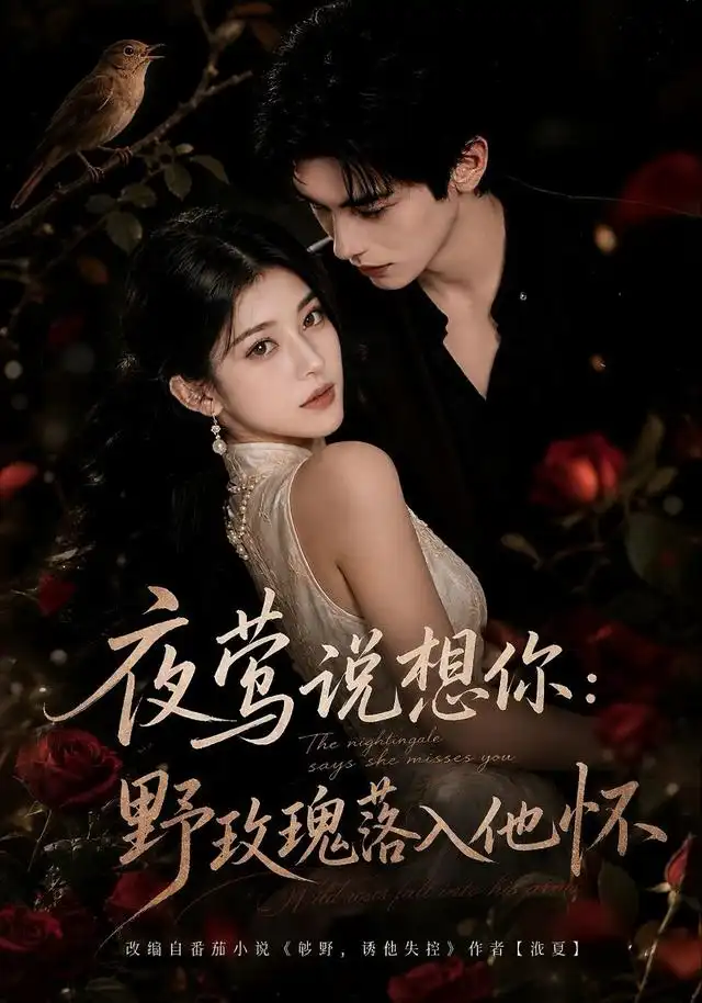 夜莺说想你野玫瑰落入他怀（186集）-紫橙网创项目网