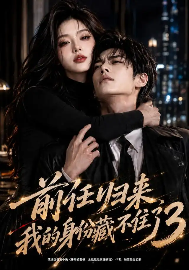 前任归来我的身份藏不住了3（94集）-紫橙网创项目网
