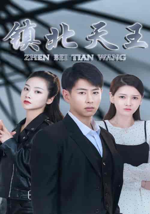 镇北天王（87集） - 紫橙阁短剧