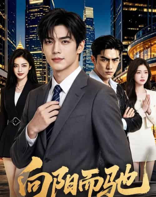 向阳而驰(96集全)AI-紫橙网创项目网