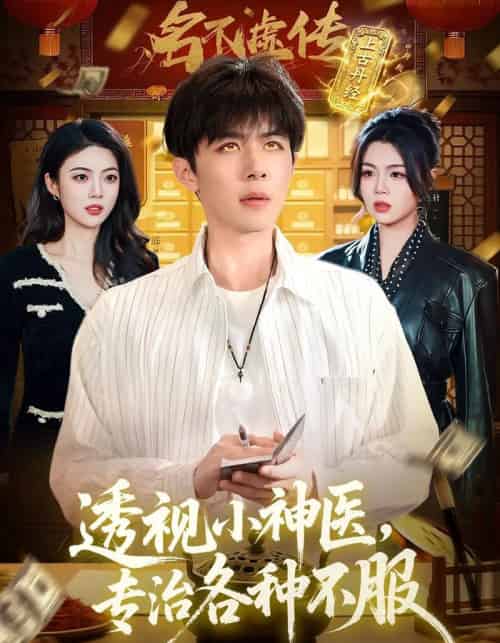 透视小神医,专治各种不服(103集全)刘哲宇&叶一宁-紫橙网创项目网