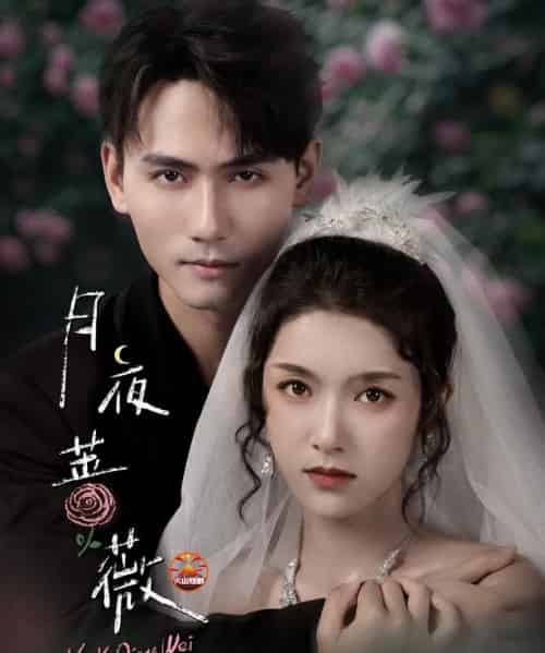 月夜蔷薇（72集全）谢予望＆卢鹿鹿-紫橙网创项目网