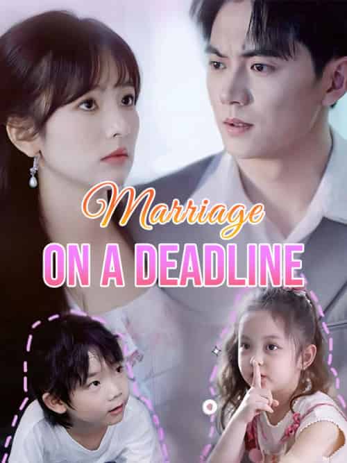 Marriage on a Deadline（80集全）Ray＆Kane＆＆Clara＆West - 紫橙海外短剧