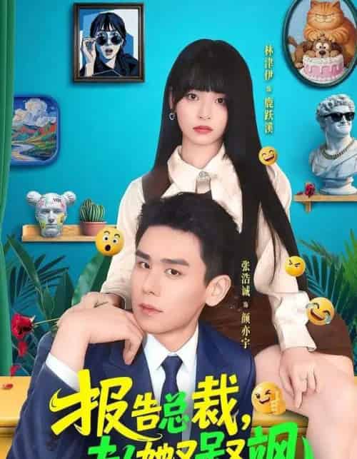 报告总裁,夫人她又呆又飒(82集全)张浩诚&林津伊-紫橙网创项目网