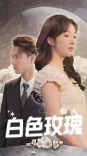 白色玫瑰（80集） - 紫橙阁短剧