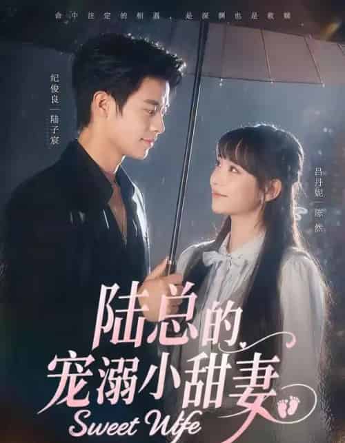 陆总的宠溺小甜妻(61集全)纪俊良&吕丹妮-紫橙网创项目网