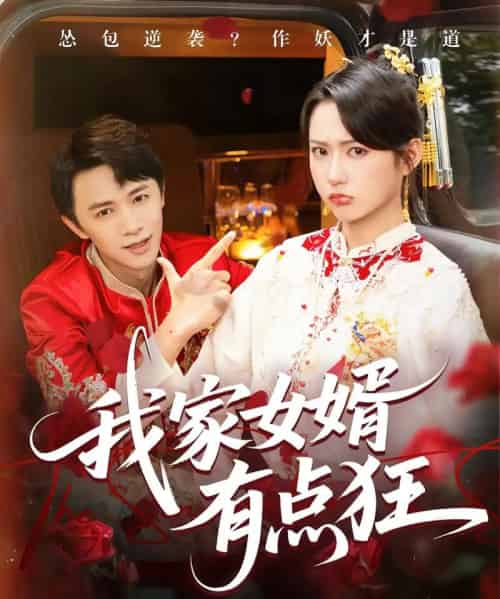 我家女婿有点狂（80集全）王悦洋＆陈外-紫橙网创项目网
