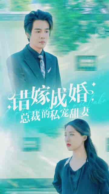 错嫁成婚总裁的私宠甜妻（80集＋长篇）戴凤仪＆杨承翰 - 紫橙阁短剧