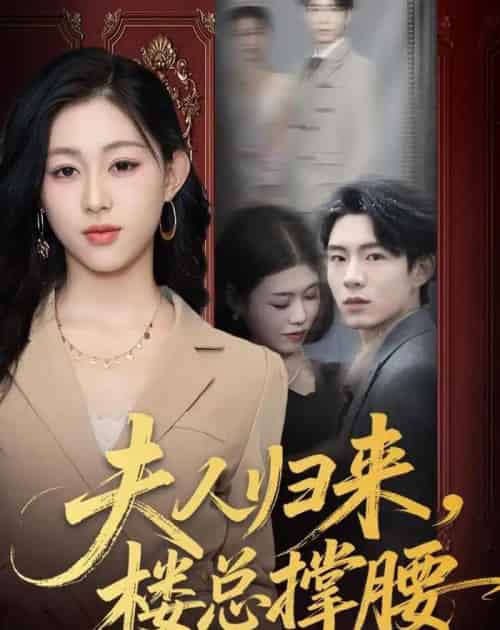 夫人归来,楼总撑腰(80集全)荣玉岩&刘允甜-紫橙网创项目网