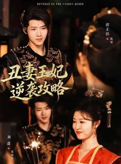 丑妻王妃逆袭攻略（62集全）刘盈＆郭芷铭-紫橙网创项目网