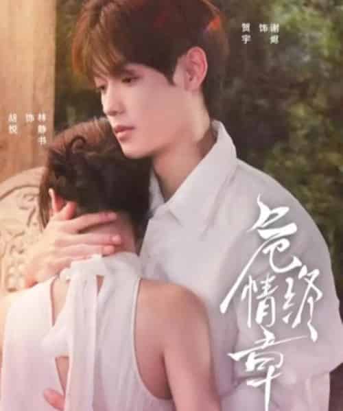 危情终章（60集全）贺宇＆胡悦-紫橙网创项目网