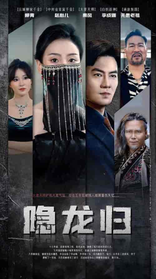 隐龙归（80集） - 紫橙阁短剧