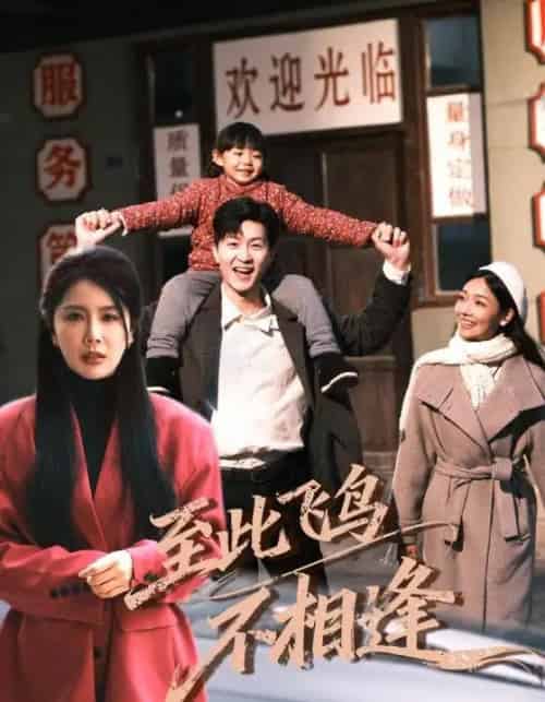 至此飞鸟不相逢（70集全）丁海霞＆王鹏-紫橙网创项目网