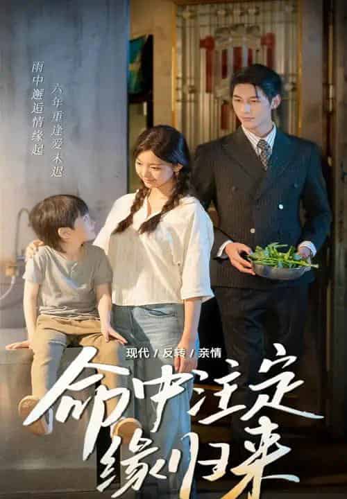 命中注定缘归来（63集）戚羽佳＆马千欢 - 紫橙阁短剧