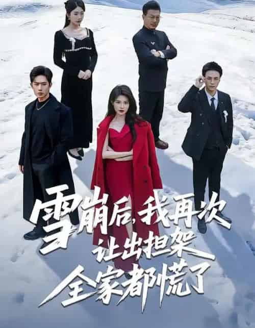 雪崩后，我再次让出担架全家都慌了（61集全）程晨＆黄子珺-紫橙网创项目网