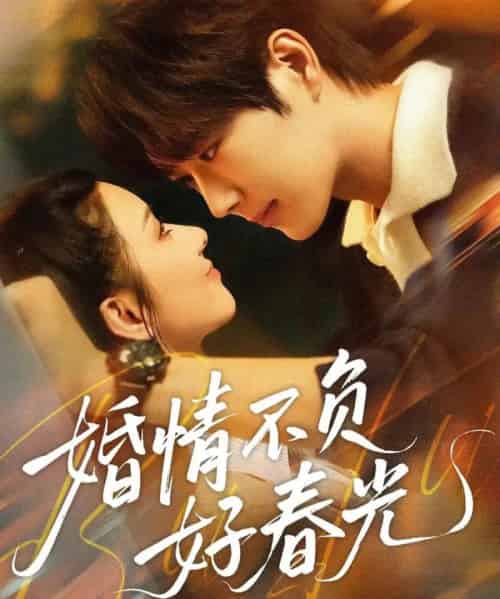 婚情不负好春光（60集全）王轩＆关芯-紫橙网创项目网