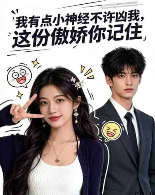 我有点小神经不许凶我,这份傲娇你记住(119集全)AI-紫橙网创项目网