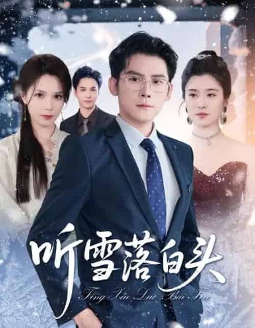 听雪落白头 听雪落白头