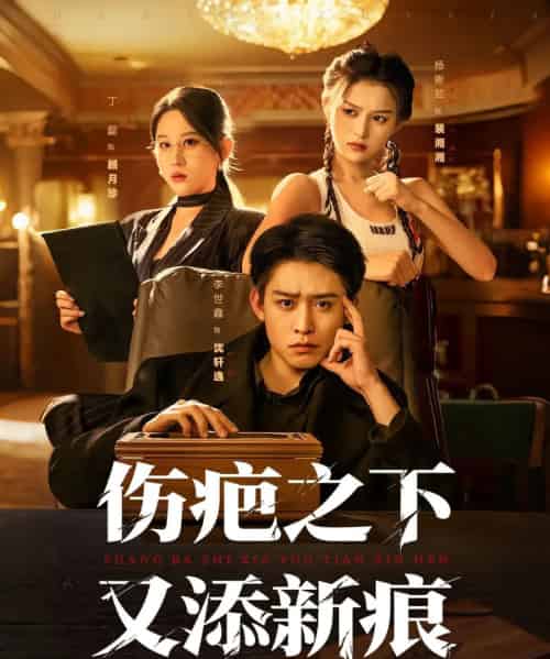 伤疤之下又添新痕(60集全)李世鑫&丁磊-紫橙网创项目网