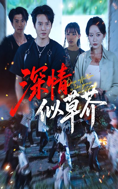 深情似草芥（51集全）源鑫＆王瀚迎 - 紫橙阁短剧