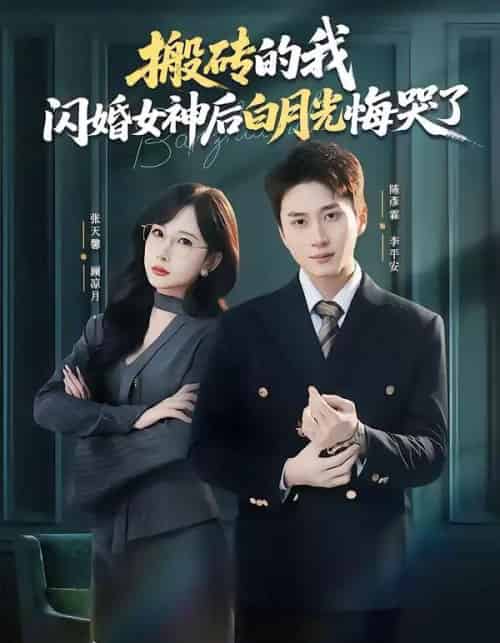 搬砖的我，闪婚女神后白月光悔哭了（80集全）陈彦霖＆张天馨-紫橙网创项目网