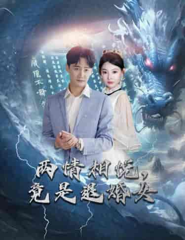 刁蛮退婚女，师姐帮我报大仇＆两情相悦，竟是退婚女（81集） - 紫橙阁短剧