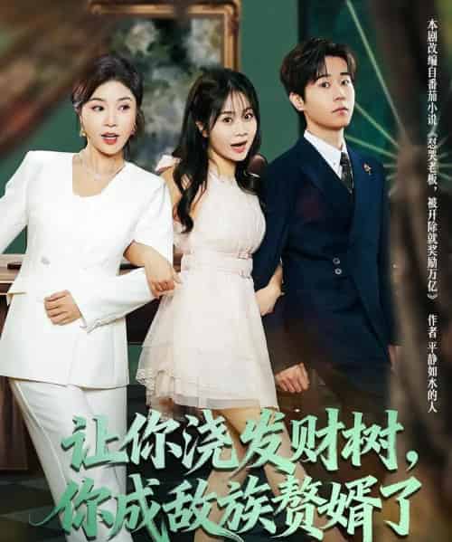 让你浇发财树,你成族敌赘婿了(72集全)雷博昊&贾予乐-紫橙网创项目网