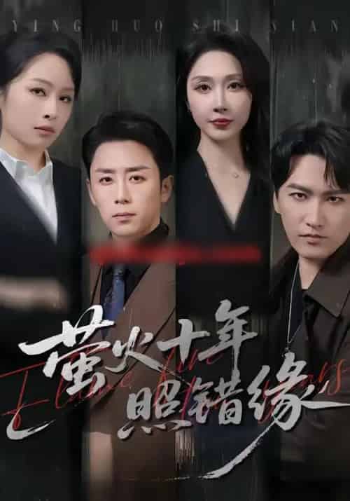 萤火十年照错缘（81集全）阎纪圻＆樊纾宁-紫橙网创项目网