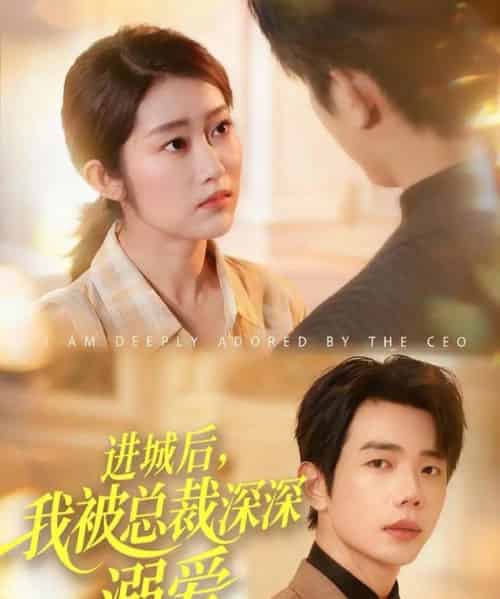 进城后,我被总裁深深溺爱(109集全)何连飞&崔馨心-紫橙网创项目网