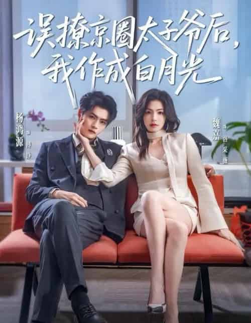 误撩京圈太子爷后，我作成白月光（81集全）杨鸿源＆魏嘉-紫橙网创项目网
