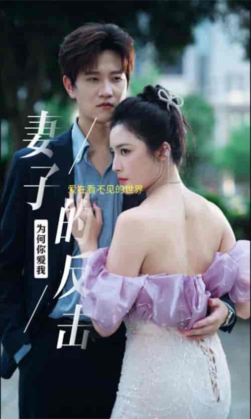 新版：妻子的反击（38集） - 紫橙阁短剧