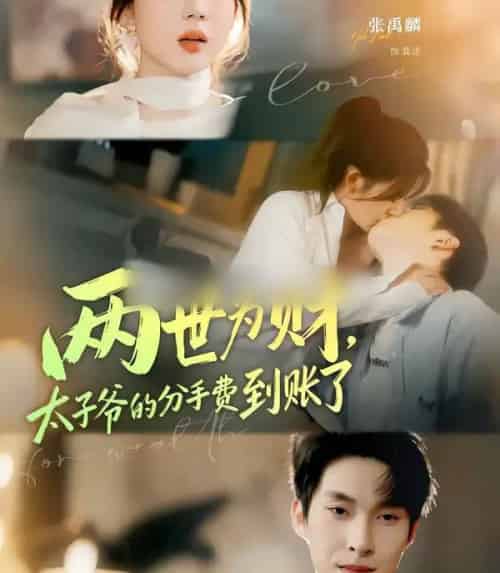 两世为财,太子爷的分手费到账了(61集全)徐兰迪&张禹麟-紫橙网创项目网