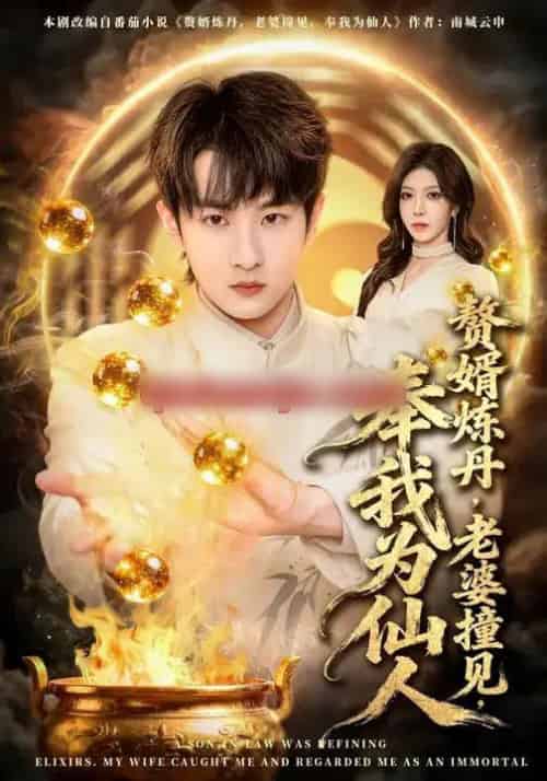 赘婿炼丹，老婆撞见，奉我为仙人（59集全）童家豪＆李伊琳 - 紫橙阁短剧