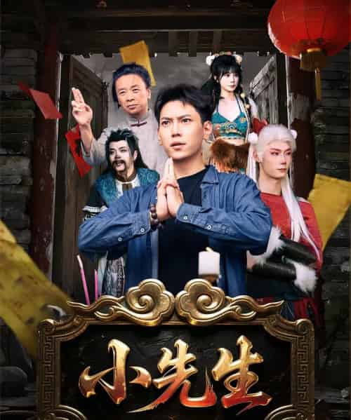 小先生（79集）-紫橙网创项目网