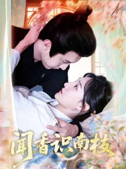 闻香识南枝（60集全）李羽彤＆希尔力 - 紫橙阁短剧