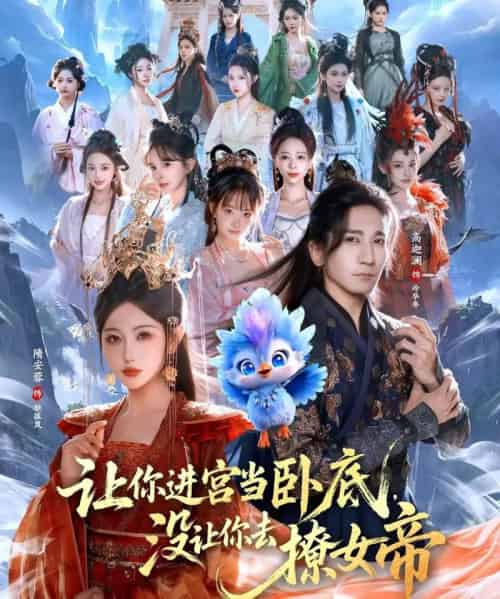 让你进宫当卧底,没让你去撩女帝(85集全)高迦澜&隋安蓉-紫橙网创项目网