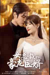 女总裁的豪龙医婿 女总裁的豪龙医婿