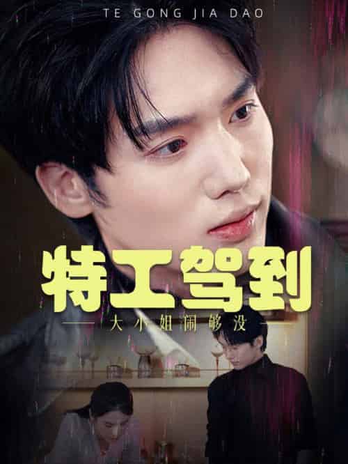 特工驾到大小姐别闹了（40集全）韩江宇 - 紫橙阁短剧