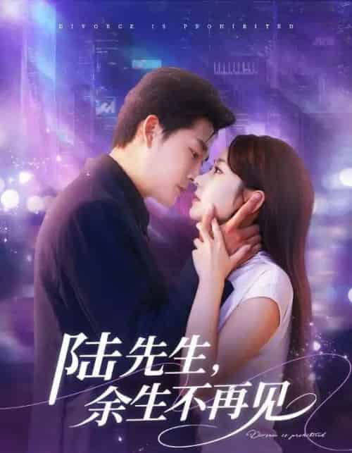 陆先生,余生不再见(88集全)张旋&孟嘉鑫-紫橙网创项目网