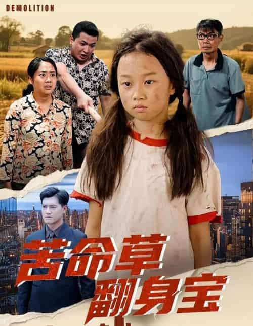 苦命草翻身宝 苦命草翻身宝