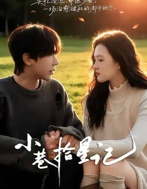 小巷拾星记（65集全）彭天瑞＆陈秋菊-紫橙网创项目网