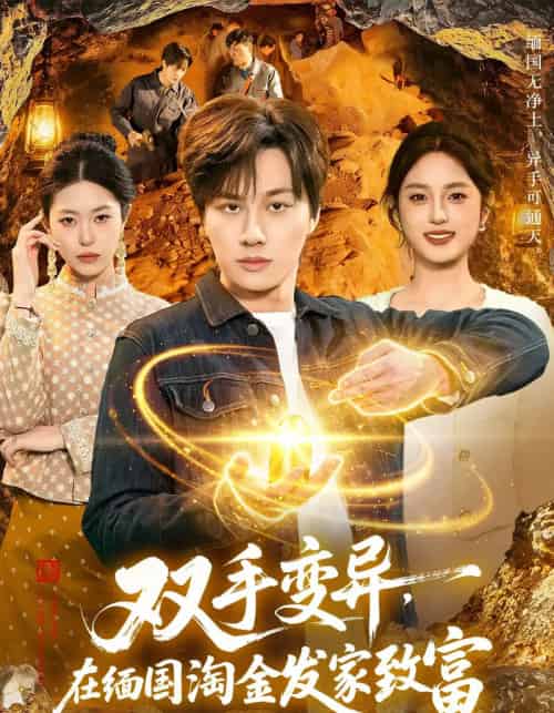 双手变异,在缅国淘金发家致富(111集全)董兆霖&邓希-紫橙网创项目网
