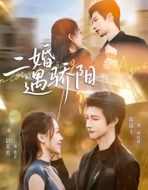 二婚遇骄阳（50集全）陈瑞丰＆赵英男-紫橙网创项目网