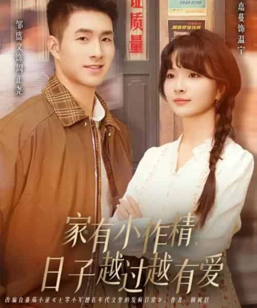 家有小作精日子越过越有爱（80集全）刘嘉蔓＆邹盛文-紫橙网创项目网